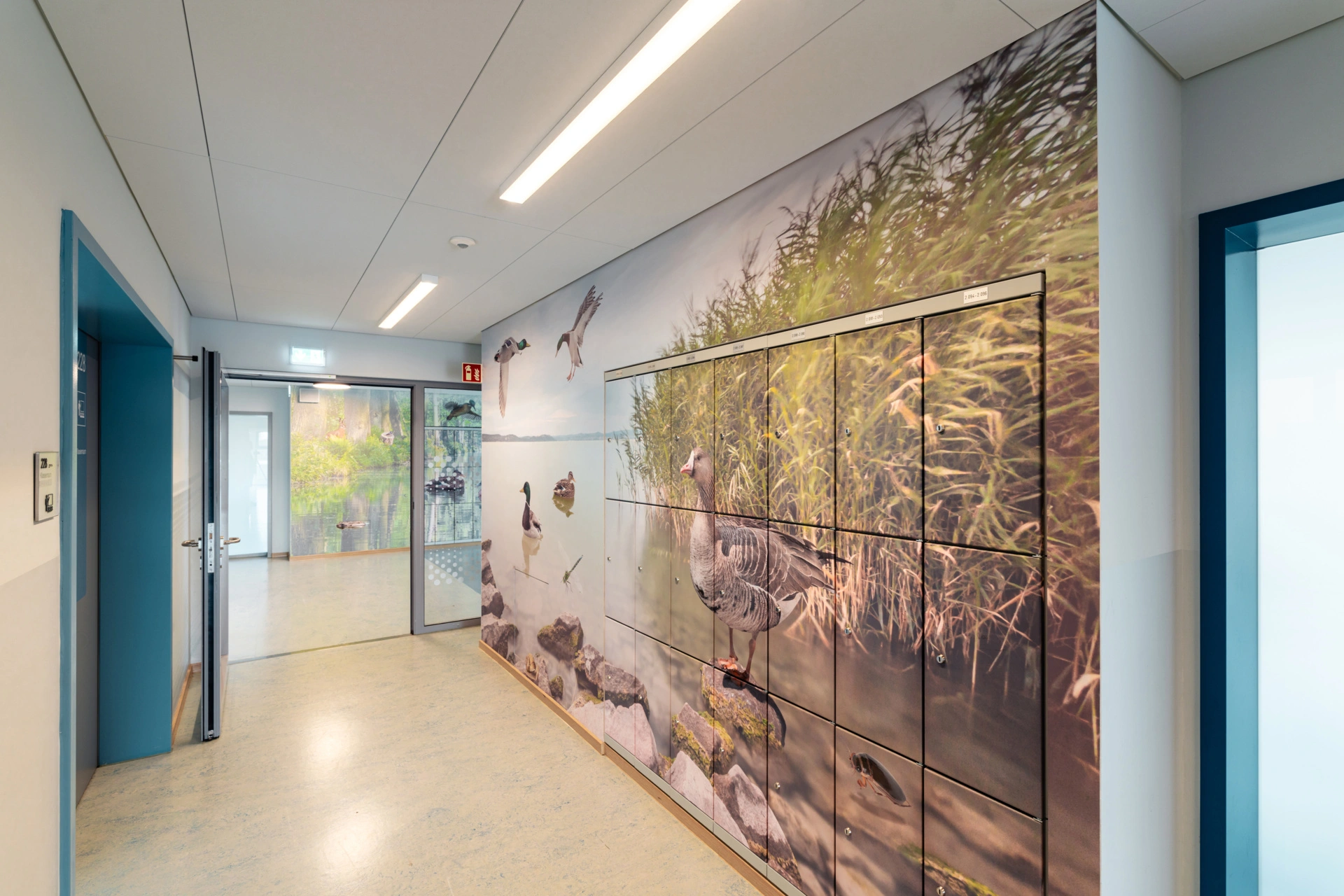 Spindanlagen als Blickfang: Naturmotive zieren die Flure und können als Inspiration dienen.