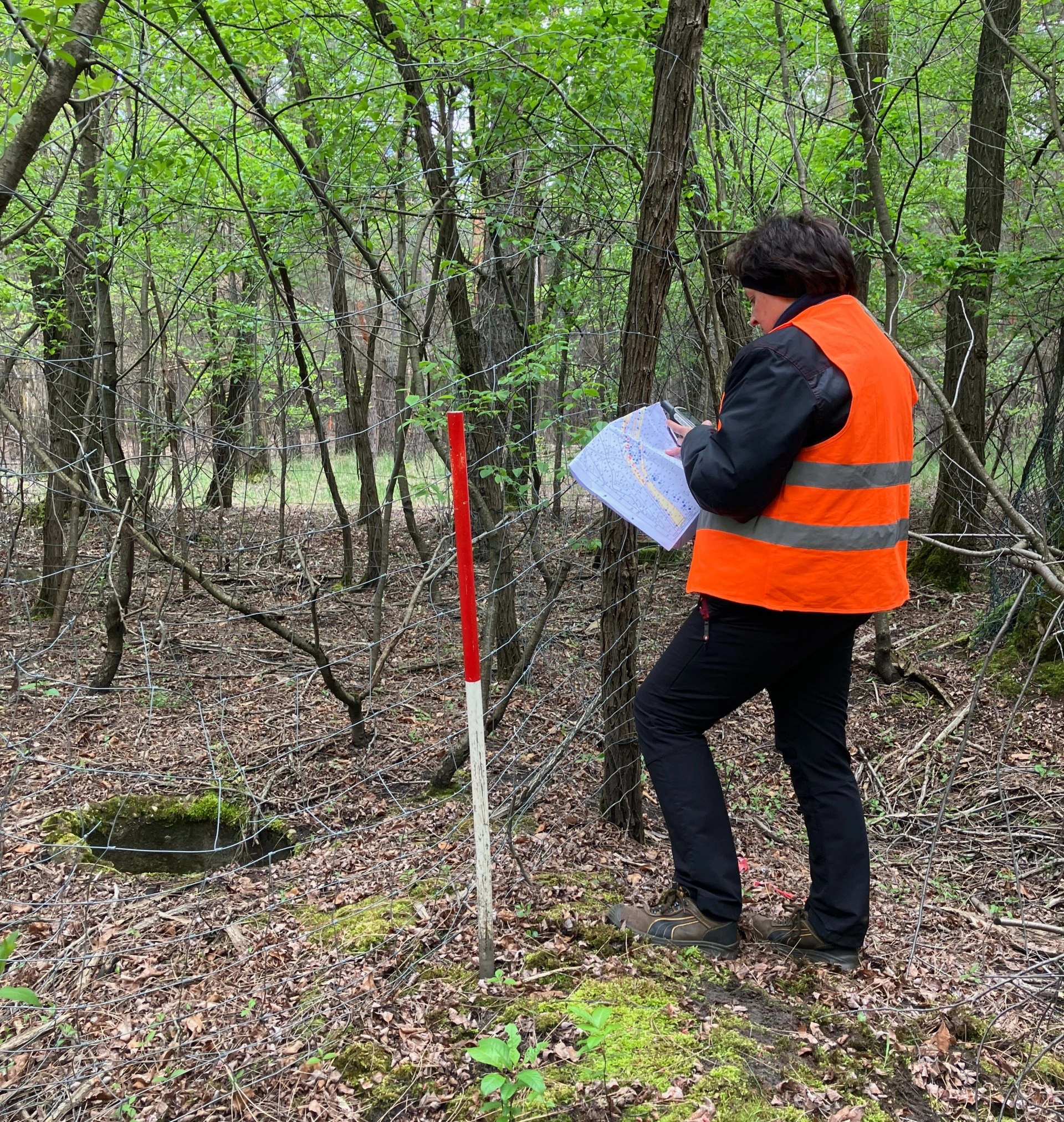 Grundlagenermittlung auf früher bergbaulich in Anspruch genommenen Flächen