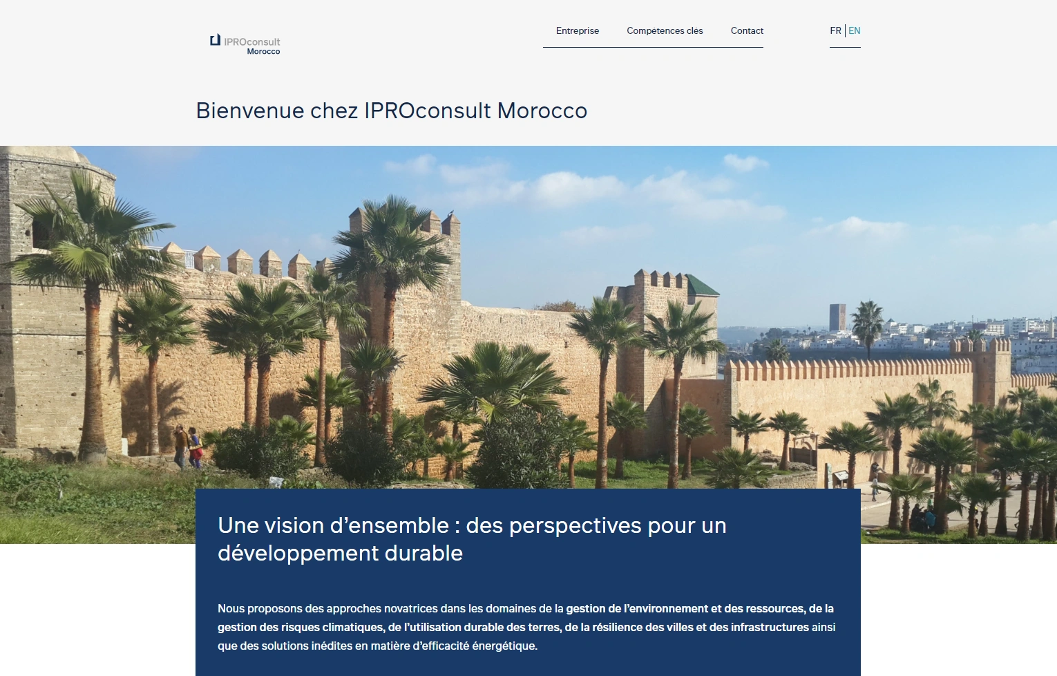 Screenshot Website IPROconsult Morroco