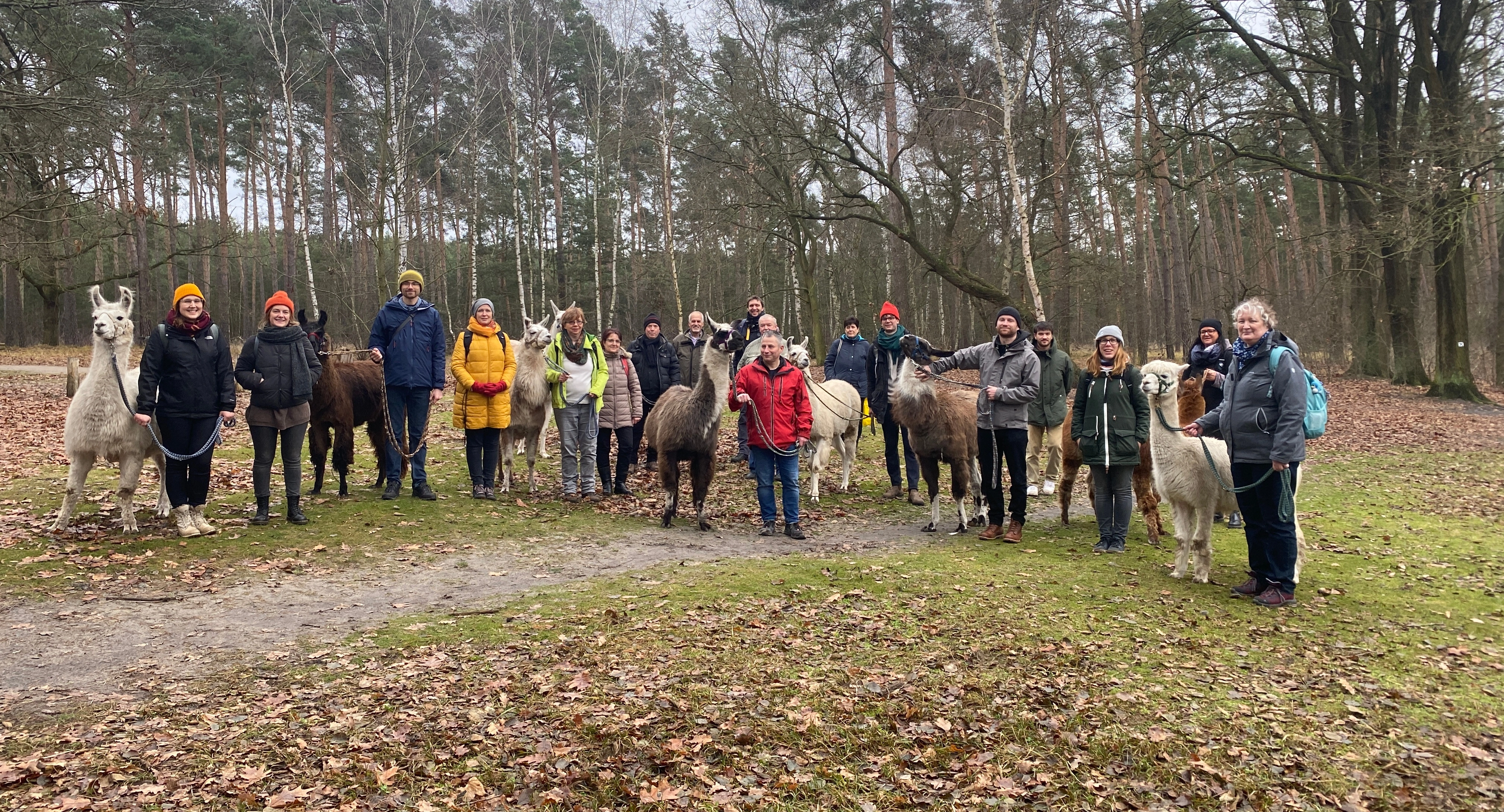 Das Team beim Alpaka-Ausflug